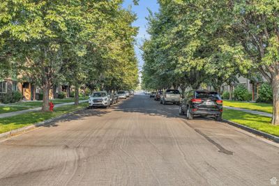 TREE LINED STREET! | Image 2