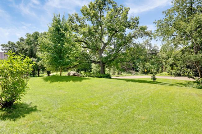 Views to your left from your private patio. Makes it feel like it's your own front lawn. | Image 5