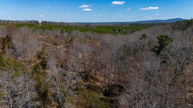 0 Norwood Rd, Home with 0 bedrooms, 0 bathrooms and null parking in GLADSTONE VA | Image 25