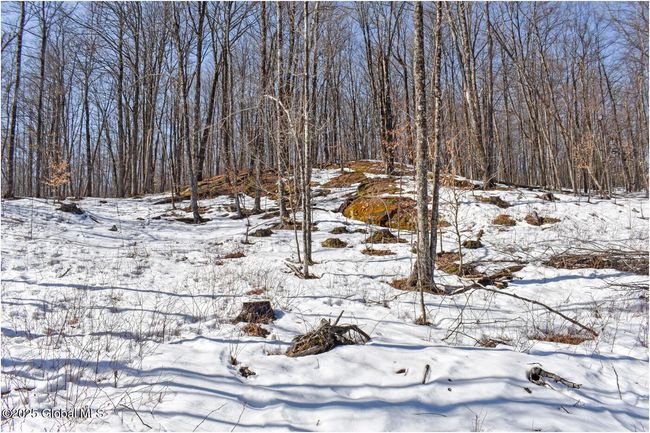 48 Durkin Rd, Home with 0 bedrooms, 0 bathrooms and null parking in North Creek NY | Image 63