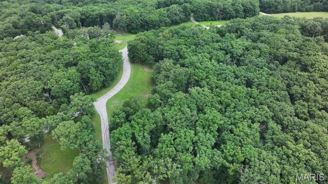 View of property location featuring a forest | Image 9