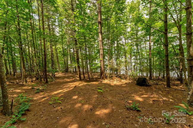62 - 159 Deerberry Dr, Home with 0 bedrooms, 0 bathrooms and null parking in Nebo NC | Image 18