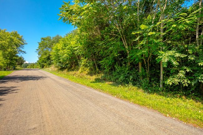 Lot 22 Lone Ash Rd, Home with 0 bedrooms, 0 bathrooms and null parking in Barren Springs VA | Image 4