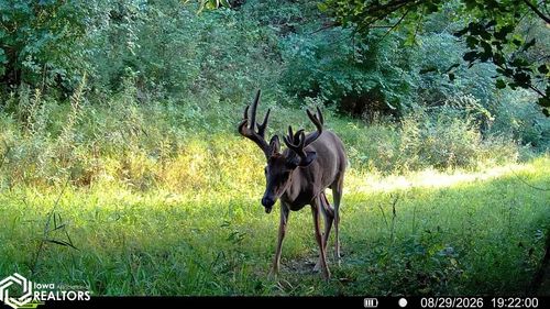 TBD 195th St, Council Bluffs, IA, 51503 | Card Image