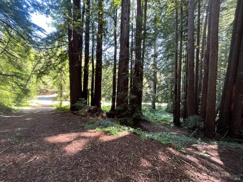 1355 Nicasio Valley Rd, Nicasio, CA, 94946-9730 | Card Image