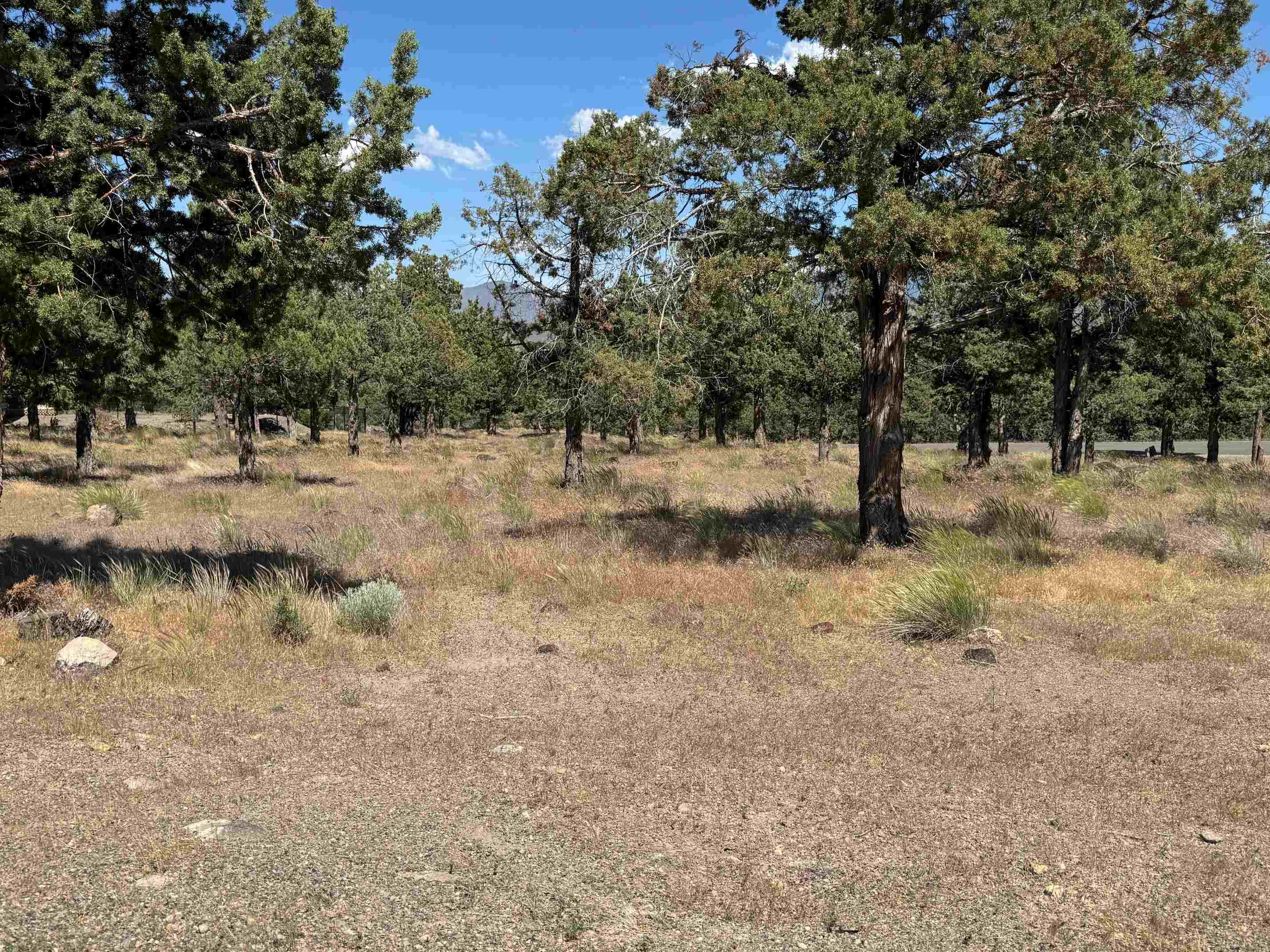 Land in Weed 5