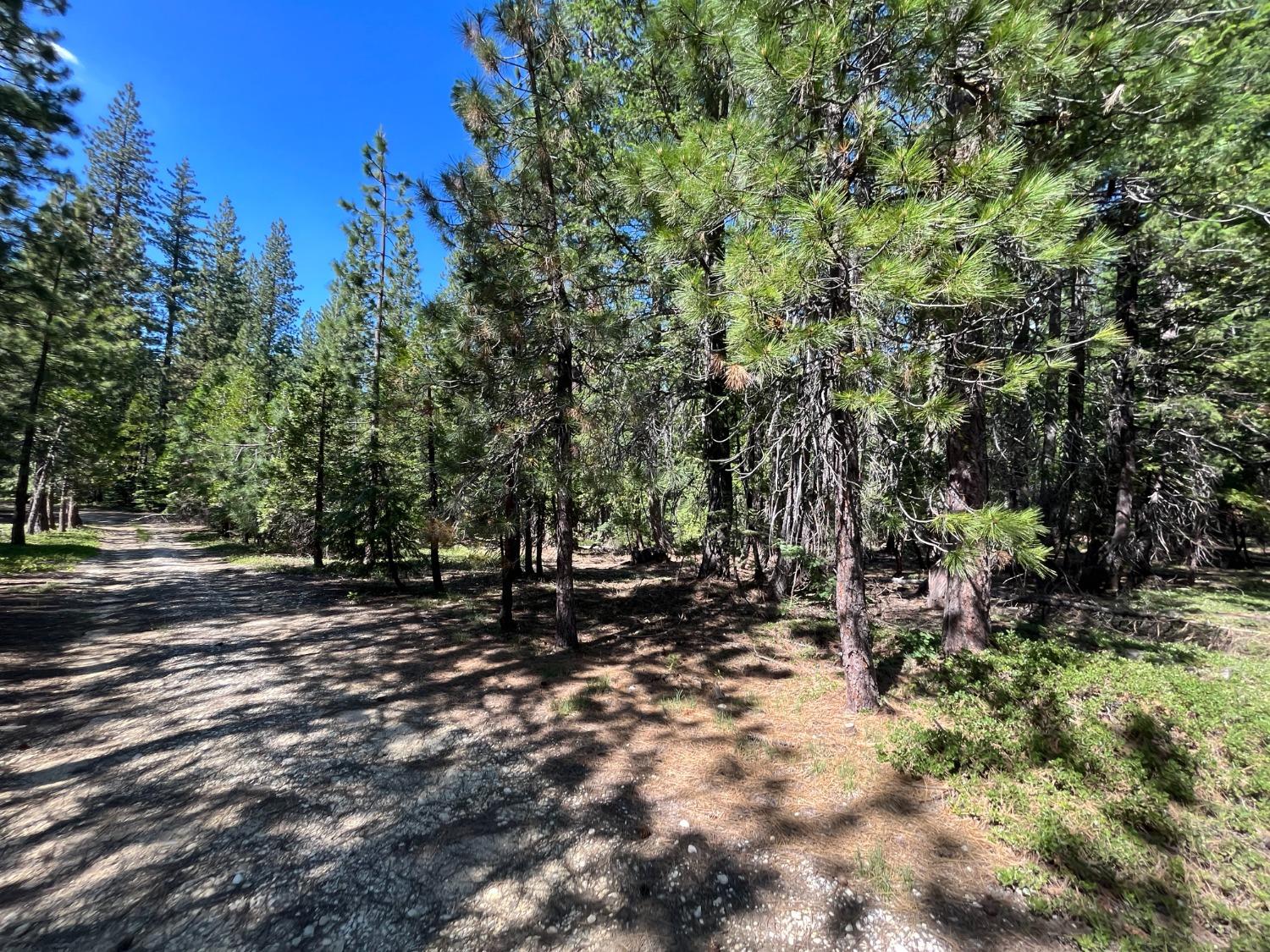 Land in Strawberry Valley 4
