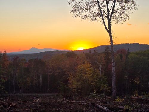 Lot C & G Dow Farm Road, Island Falls, ME, 04747 | Card Image