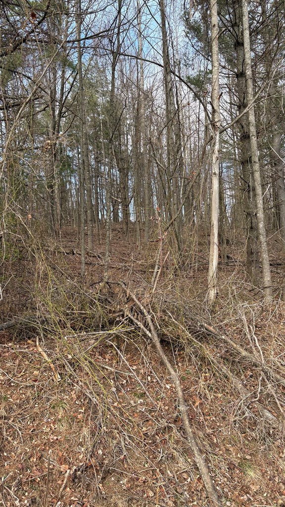 Land in Woodlawn 3
