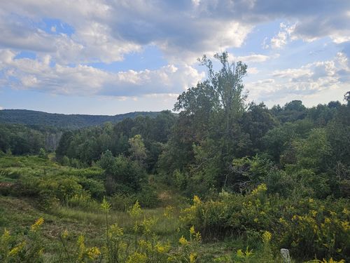 1970 Rock Ave, Palmer, TN, 37365-4014 | Card Image