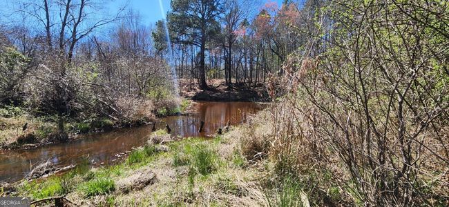 5757 Jeffersonville Rd, Home with 0 bedrooms, 0 bathrooms and null parking in Dry Branch GA | Image 19