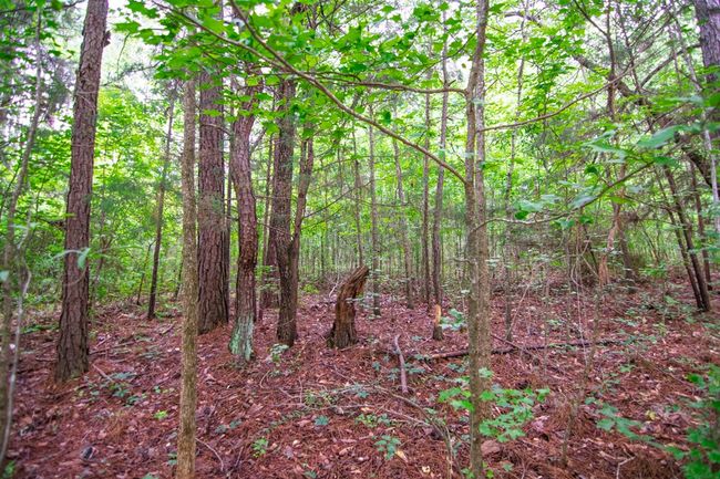 0 Us Highway 29, Home with 0 bedrooms, 0 bathrooms and null parking in WEST POINT GA | Image 5