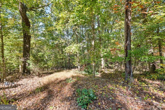 lot 2 Winterberry Lane, Home with 0 bedrooms, 0 bathrooms and null parking in Gainesville GA | Image 33