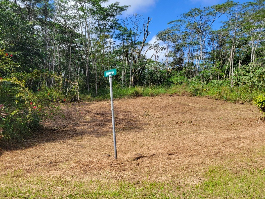 Land in Pahoa 4