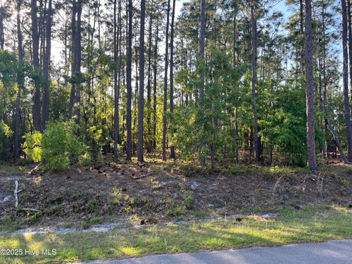 13-1871 Reidsville Rd, Southport, NC, 28461-9072 | Card Image