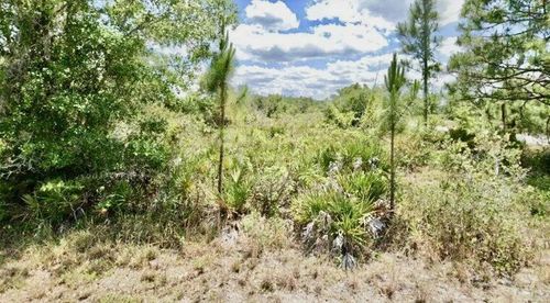 3362 Rhododendron Rd, LAKE PLACID, FL, 33852-5343 | Card Image