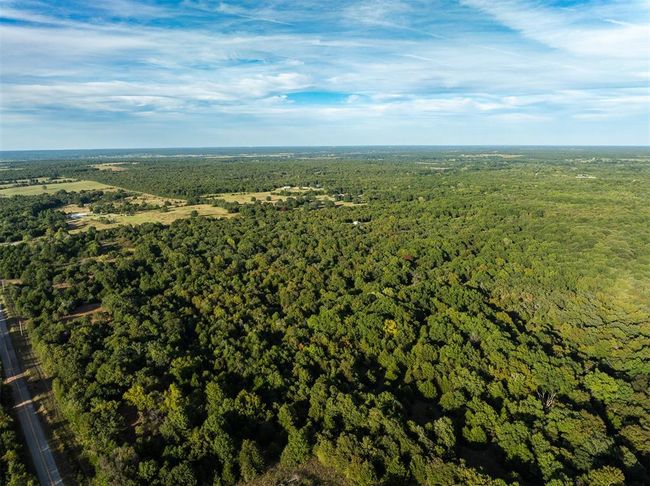 Drone / aerial view featuring a wooded view | Image 18