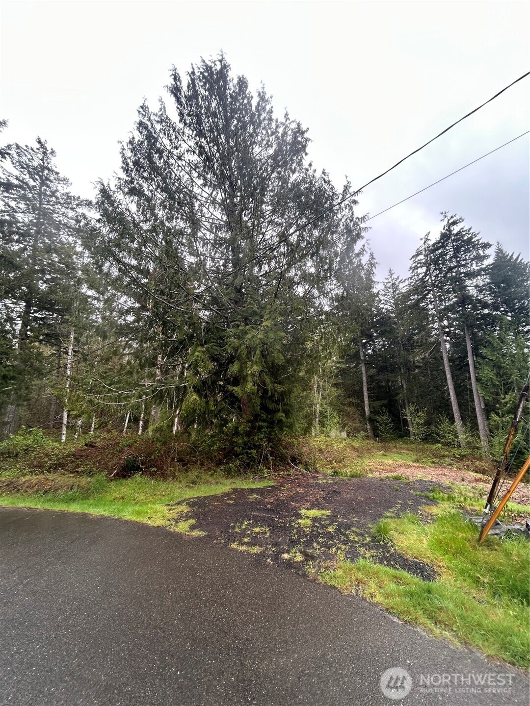 Land in Olympia 2