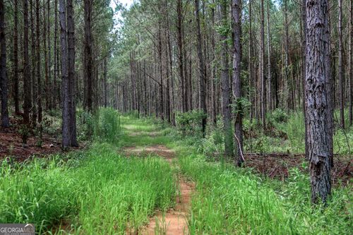 0 Moores Store Rd, Richland, GA, 31825 | Card Image