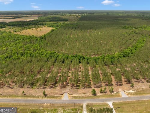 lot-3-0 Dewey Thomas Rd, Dexter, GA, 31019 | Card Image