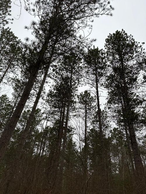 4069-5-ON Swamp Creek Rd, Jackson, WI, 59736 | Card Image