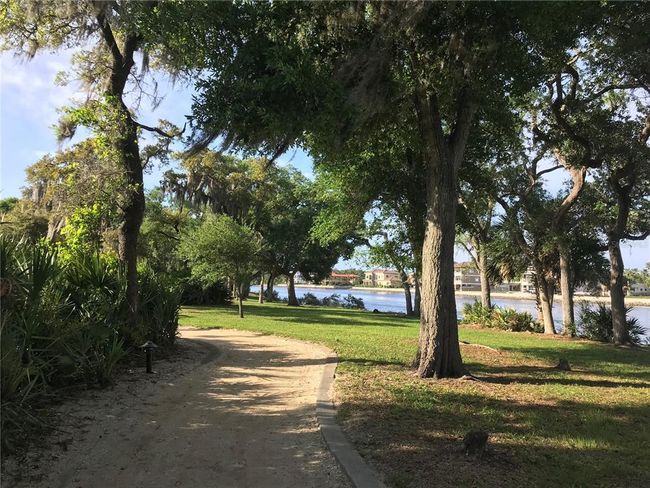 Beautiful Natural Surroundings With Indigenous Vegetation And Native Florida Landscaping | Image 36
