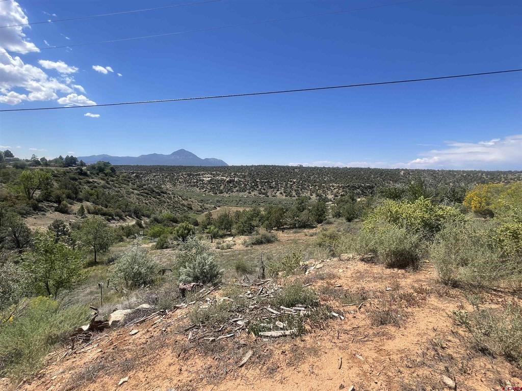 Land in Cortez 4