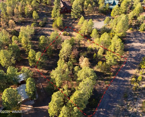 2974 Lookout Ln, Overgaard, AZ, 85933-4100 | Card Image