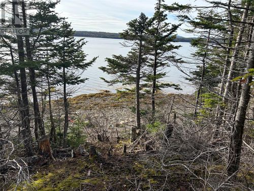 Lot # 03 Smith Sound Road, Harcourt, NL, A5A3A1 | Card Image