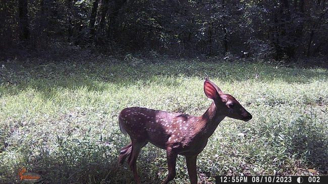 From property cameras | Image 14