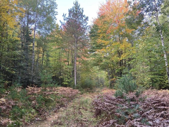 Lt0 Barker Road, Home with 0 bedrooms, 0 bathrooms and null parking in Amberg WI | Image 8