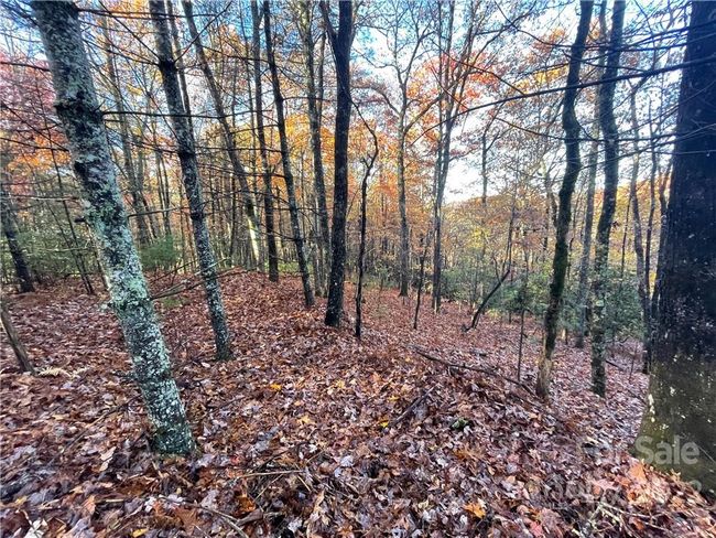 4 - 9999 Sassafras Ln, Home with 0 bedrooms, 0 bathrooms and null parking in Cedar Mountain NC | Image 8