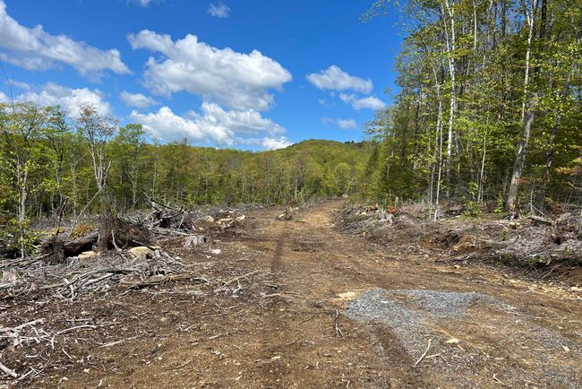 1180 Abbott Hill Rd, Home with 0 bedrooms, 0 bathrooms and null parking in West Burke VT | Image 6