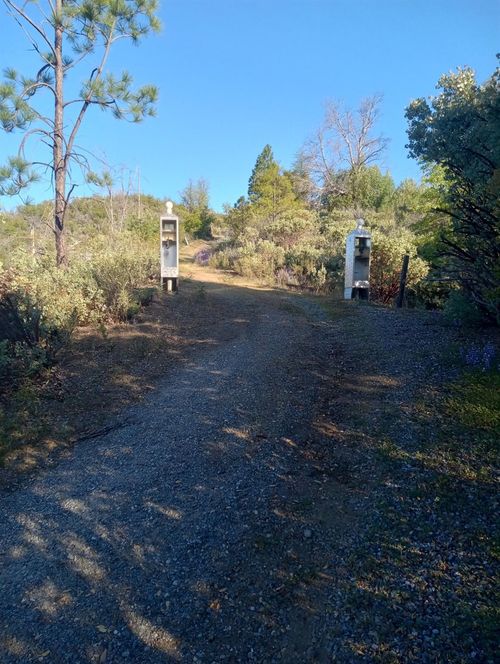 16140 Baker Riley Way, Mokelumne Hill, CA, 95245-9786 | Card Image