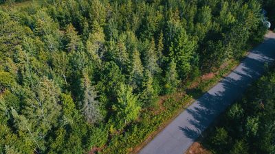 Lot 14 B 2 Pine Tree Lane, Home with 0 bedrooms, 0 bathrooms and null parking in Coleraine MN | Image 3