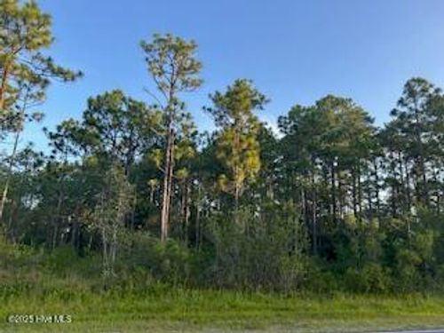 365366 Drayton Rd, Boiling Spring Lakes, NC, 28461 | Card Image