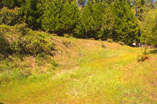 16455 Mckenzie Dr, Pioneer, CA, 95666-9687 | Card Image