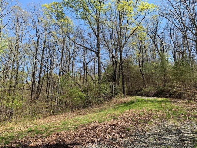 91 - 43 Old Burnt Mountain Rd, Home with 0 bedrooms, 0 bathrooms and null parking in Ellijay GA | Image 17