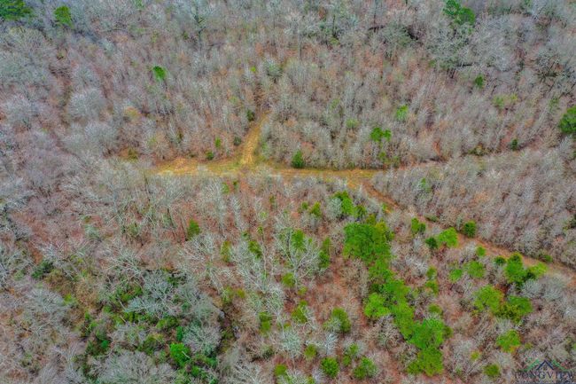 00 Mistletoe Rd, Home with 0 bedrooms, 0 bathrooms and null parking in Gilmer TX | Image 5