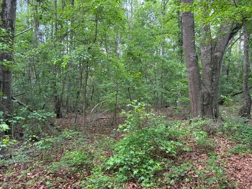 0 Joyous Way, Moncks Corner, SC, 29461 | Card Image