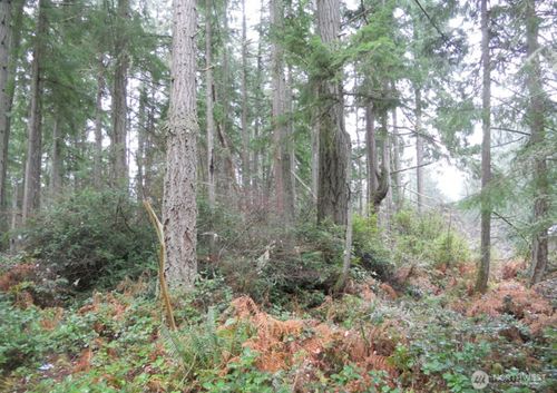10315 107th Avenue Ct, Anderson Island, WA, 98303-8629 | Card Image