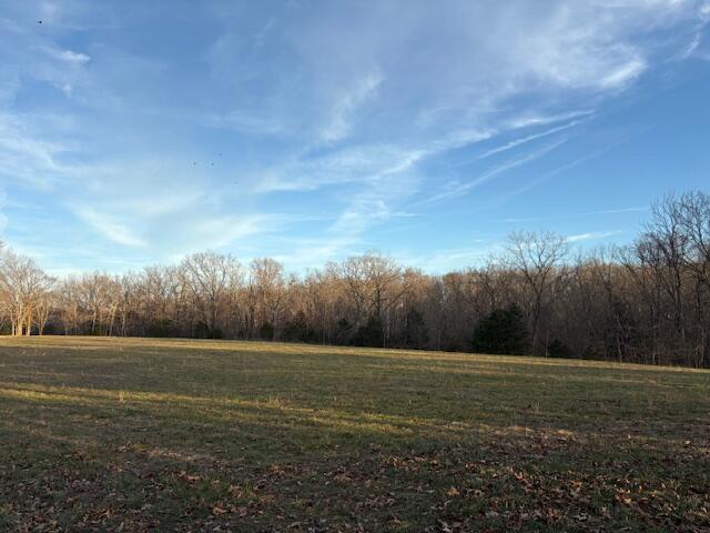 Land in Highlandville 5