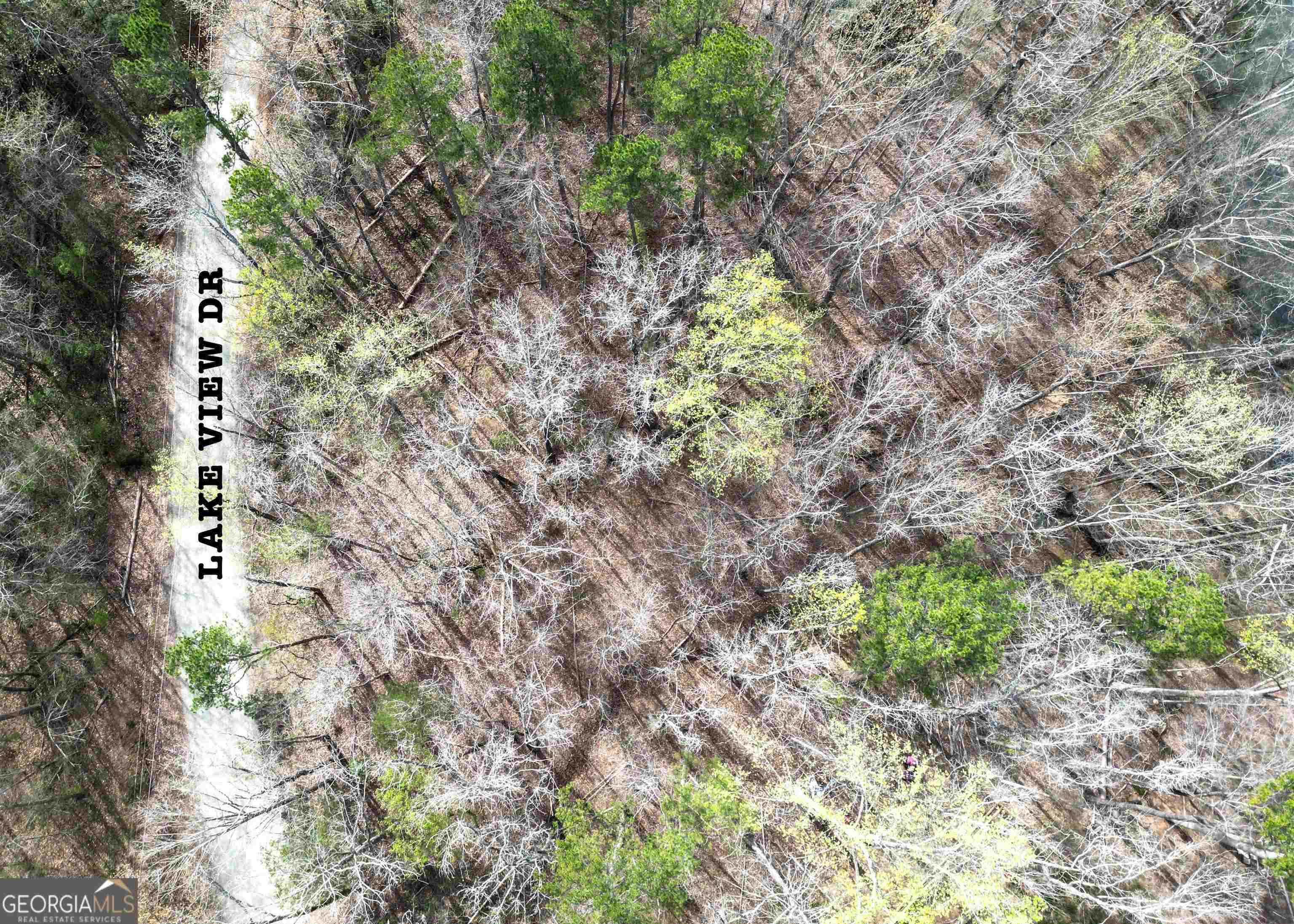 Land in Lavonia 4