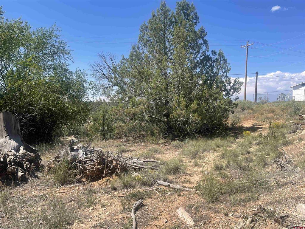 Land in Cortez