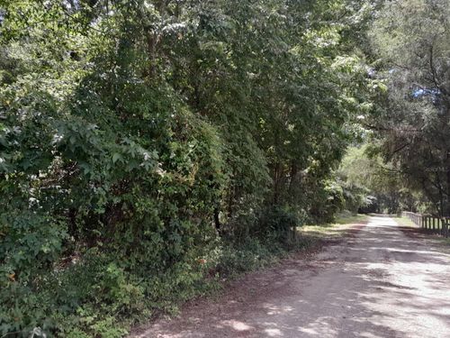 tbd Nw 172nd Pl, Reddick, FL, 32686 | Card Image