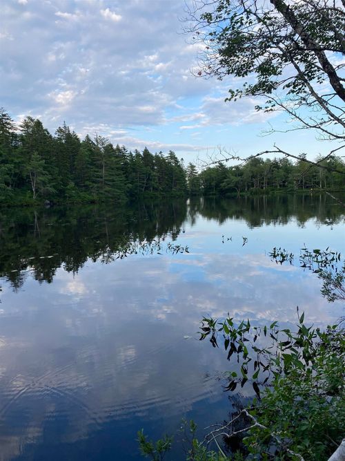Lot 9 Pigott Lake Road, Lakelands, NS, B0N1Z0 | Card Image