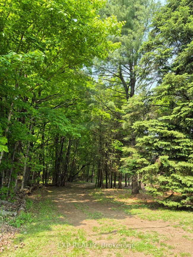 1719 E Lake Rd, House other with 4 bedrooms, 2 bathrooms and 6 parking in North Kawartha ON | Image 38