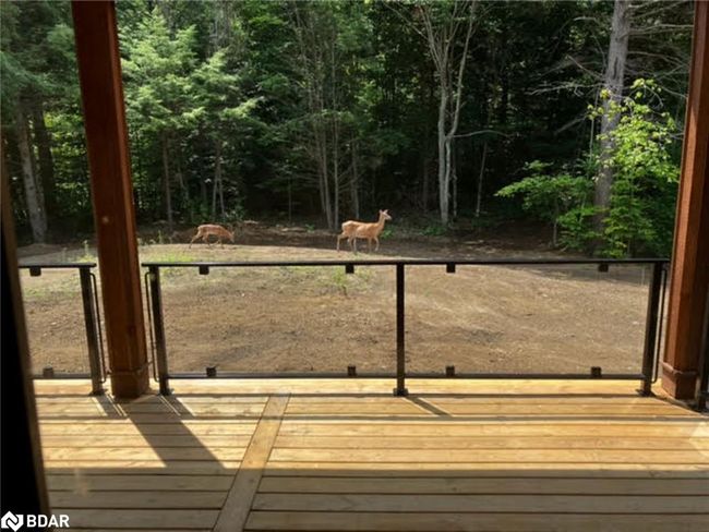 4571 Aspdin Rd, House other with 3 bedrooms, 3 bathrooms and 14 parking in Utterson ON | Image 27