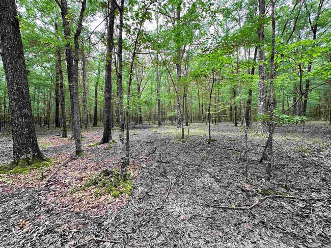 000 Oak Dale Rd, Home with 0 bedrooms, 0 bathrooms and null parking in Lonoke AR | Image 25