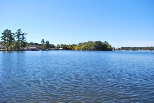 2985 Hwy 260, Manning, SC, 29102-4942 | Card Image